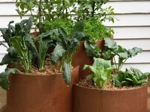 FormBoss 3 tiered planter with veggie plants